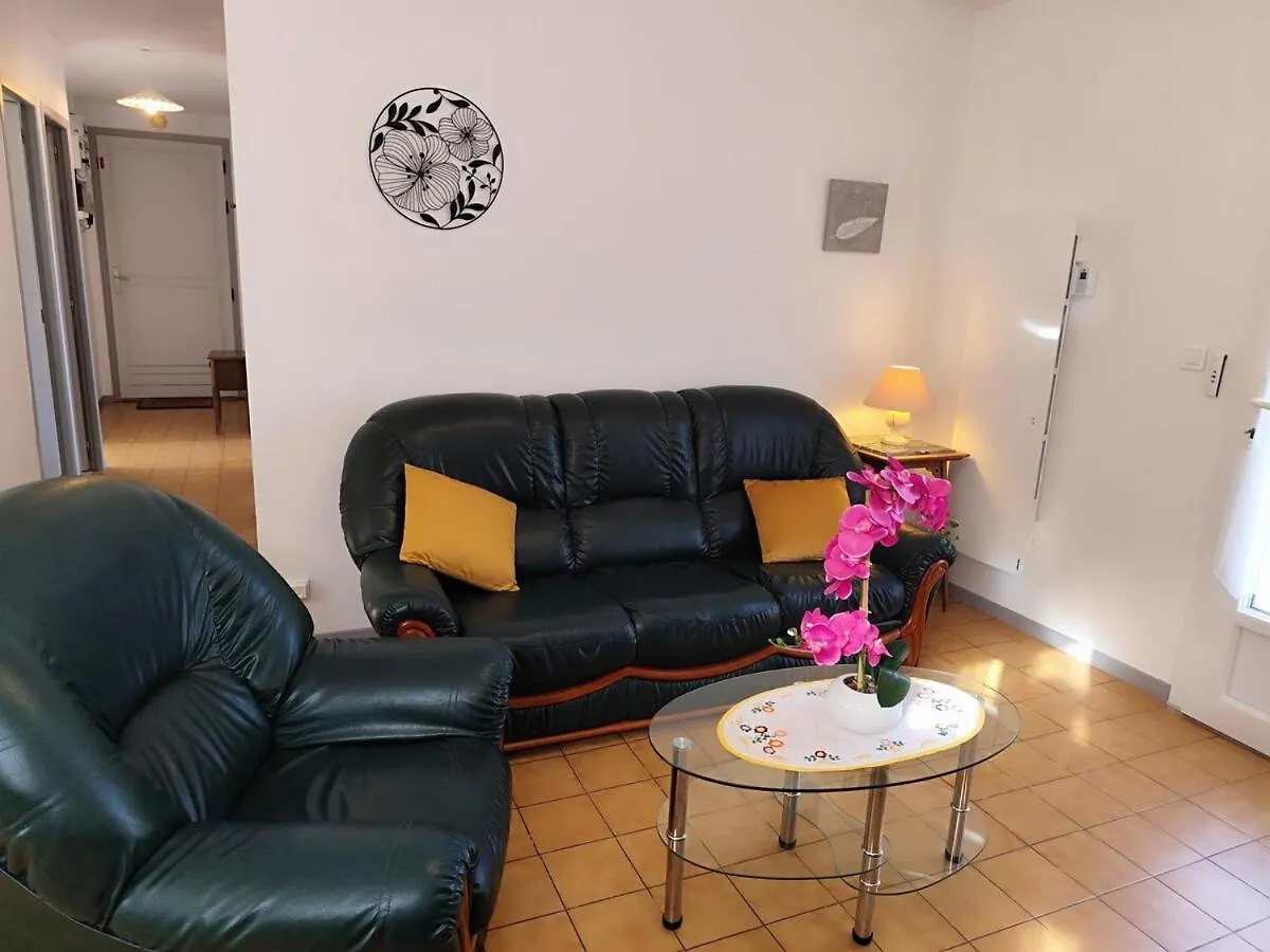 La Maison Des Rosiers Lourdes 0*,